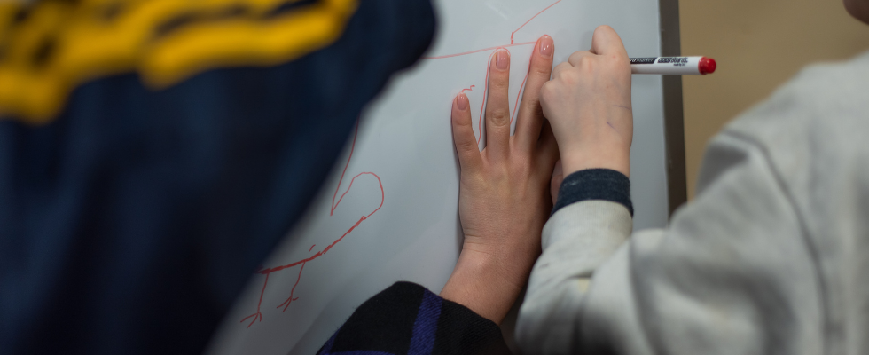 Результат проєкту "Споріднені" 2020