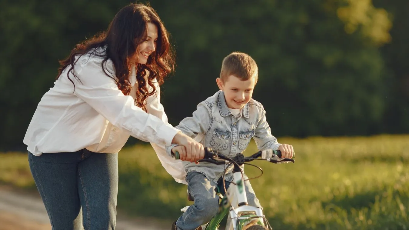 Що таке патронат?